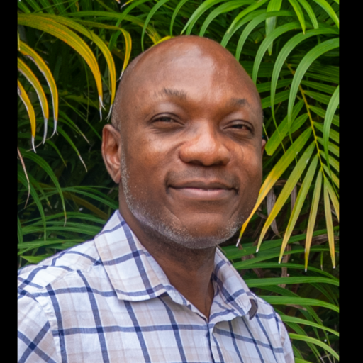 Portrait of Dr. Adeniyi Adeleye